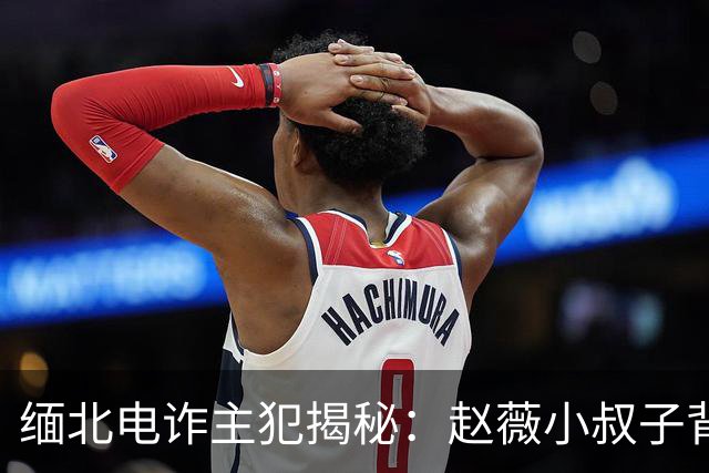 缅北电诈主犯揭秘：赵薇小叔子背后的黑幕